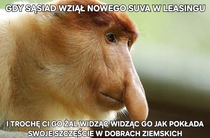 Földi javak hordozója