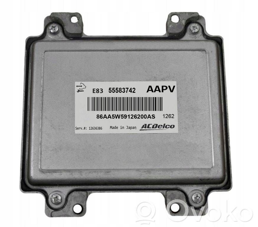 ACDELCO 55583742 E83 Opel Corsa