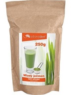 Zdravý den Mladý ječmen 250g