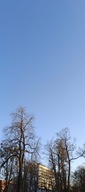 Televize 49 palců 4K 49UA3A63DG