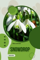 Snowdrop: Simply beginners guide