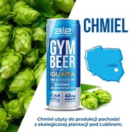 ALE Gym Beer by Iguana, nealkoholické pivo, 330 ml