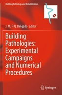 Building Pathologies Experimental Campaigns and Numerical Procedures Bui